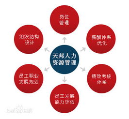 鄭州社保公積金代理、勞務派遣及人事外包服務市場概況